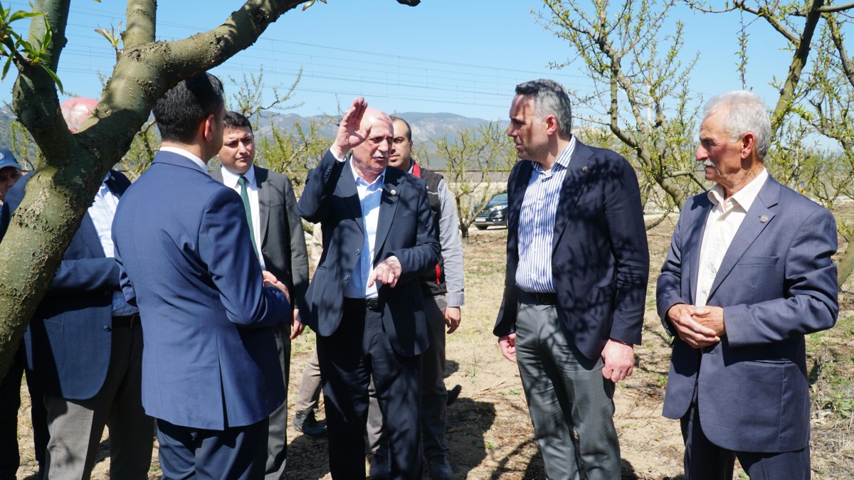 Tever’den Don Zararının Görüldüğü İlçelerde İnceleme