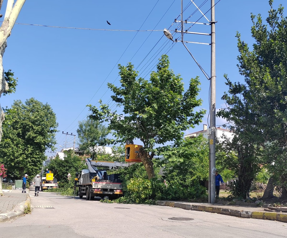SEDAŞ, Kocaeli’de Kesintisiz Enerji İçin Ağaç Budama  Çalışmalarını Sürdürüyor