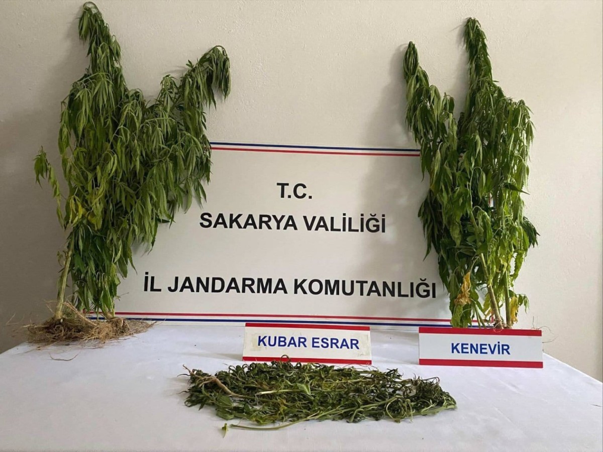 Sakarya'da uyuşturucu operasyonu 