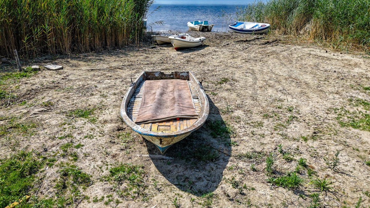 Sapanca Gölü’nün geleceği için kritik çalıştay tamamlandı
