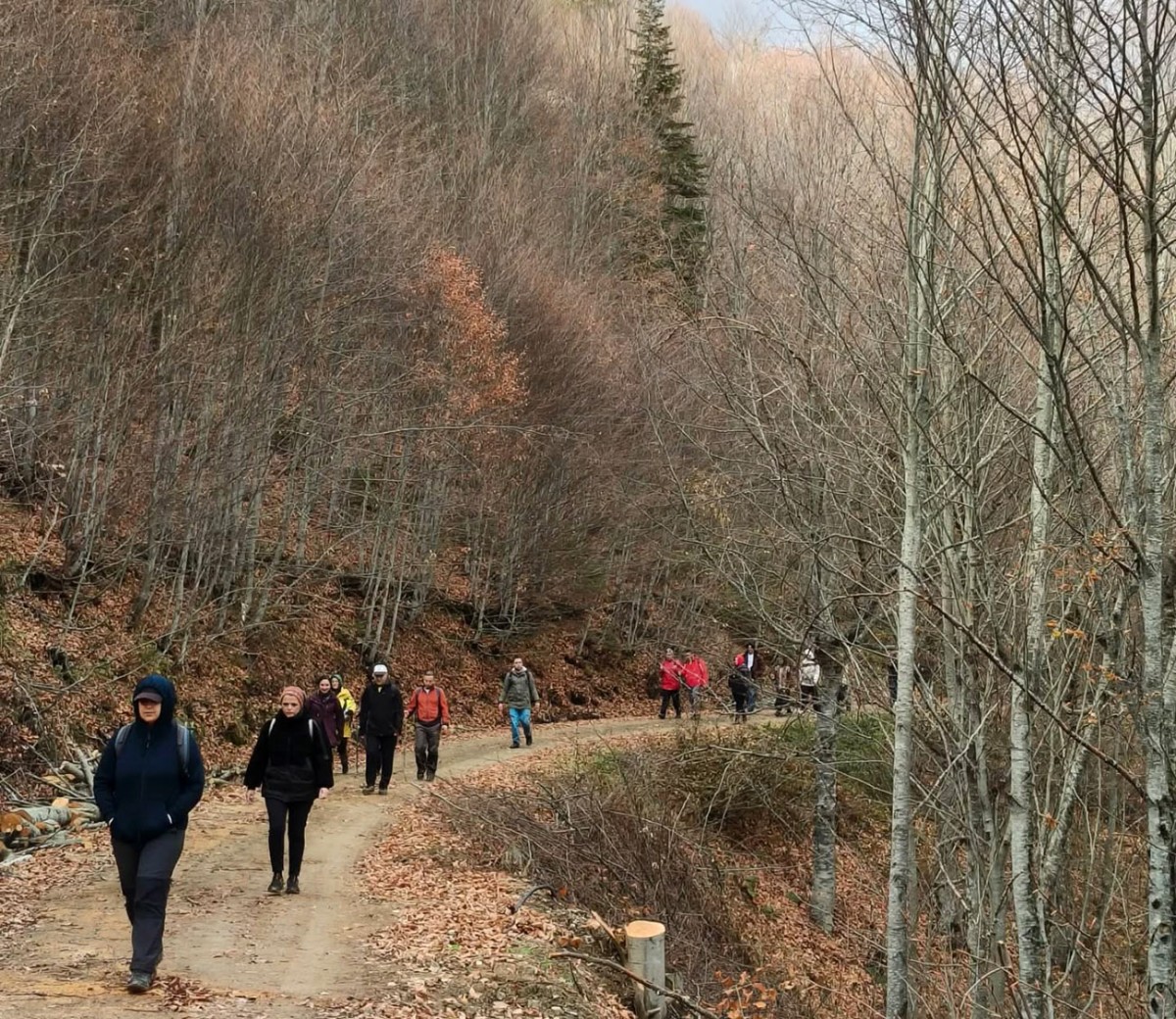 Sakarya’da Doğa Yürüyüşlerine Büyüleyici Final
