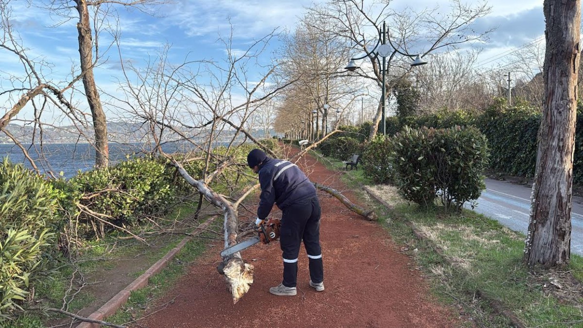 Saha Çalışmalarına 7/24 Aralık Verilmedi