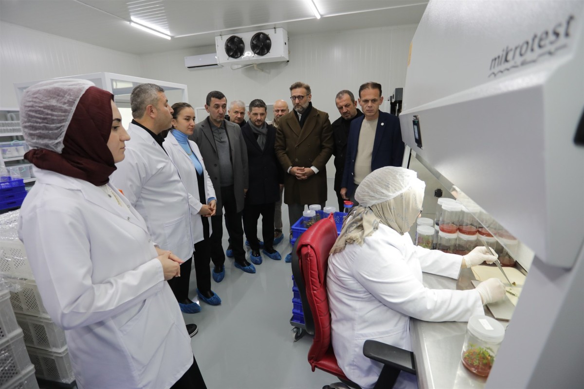 Sapanca'daki Doku Kültürü Laboratuvarını İnceledi