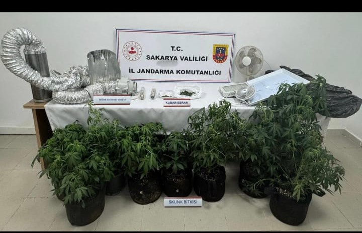 Jandarmadan Hendek’te Uyuşturucu Operasyonu