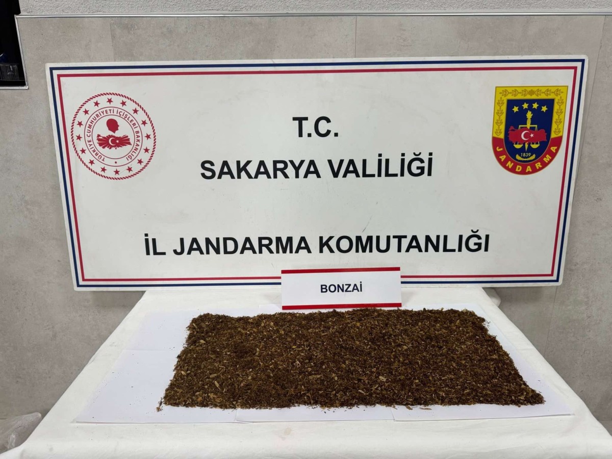 Uyuşturucu Operasyonu: 1 Tutuklama